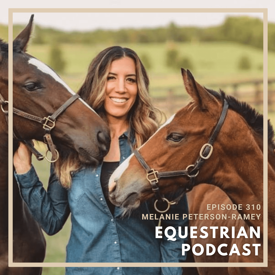 The WEF Series- Producing The WEF Sport Horse Auction with Melanie ...