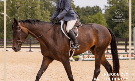 Assessing your Horse’s Personality with Equine Performance Identities