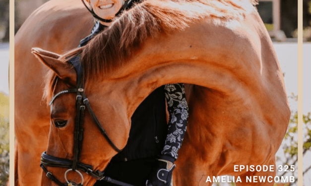 How Amelia Newcomb Communicates to Horses Through Pressure and Release