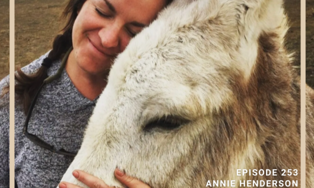 Sustainably Improving the Life of Working Equids with Annie Henderson