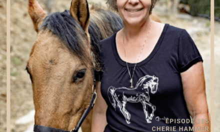 Horses, Hope, and Healing with the National Center for Equine Facilitated Therapy