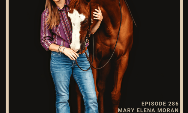 How Mary Elena Moran Transforms Rescue Horses into Confident Police Horses