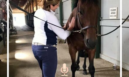 Equine Massage Therapy with Katie Hawkins