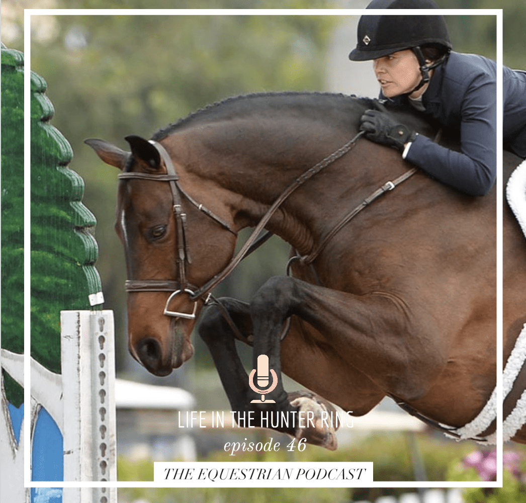 Life in the Hunter Ring with Stephanie Danhakl