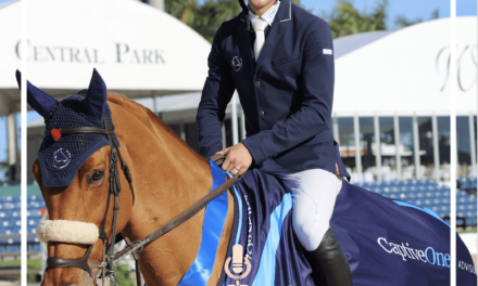 The Art of Show Jumping with Andrew Welles