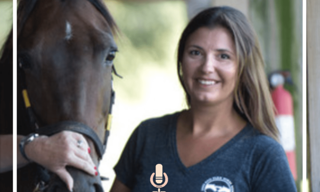 Horse Rescue with Erin Ochoa