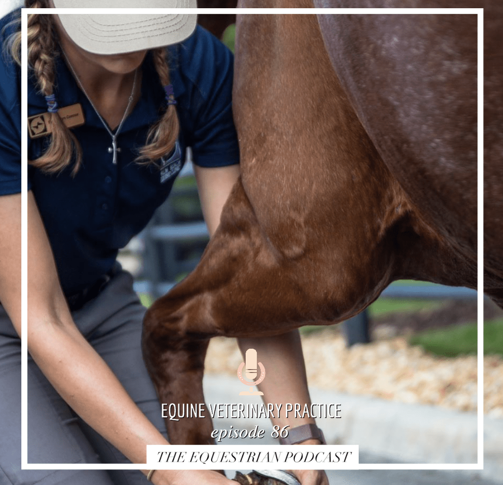Equine Veterinary Practice with Dr. Marilyn Connor