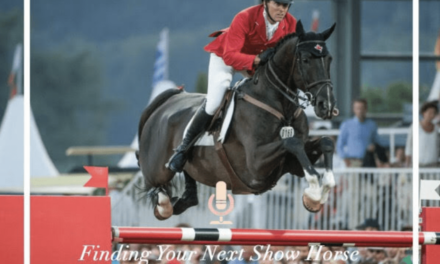 Finding Your Next Show Horse with Chris Sorensen