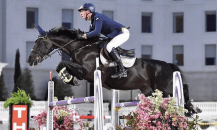 The WEF Series- How Daniel Coyle Won the CSIO4* Grand Prix during WEF 8