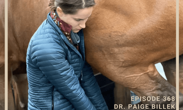 Discussing Equine Soundness and Preventative Sports Medicine with Dr. Paige Billek