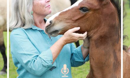 High-Quality American Breeding with Lisa Lourie