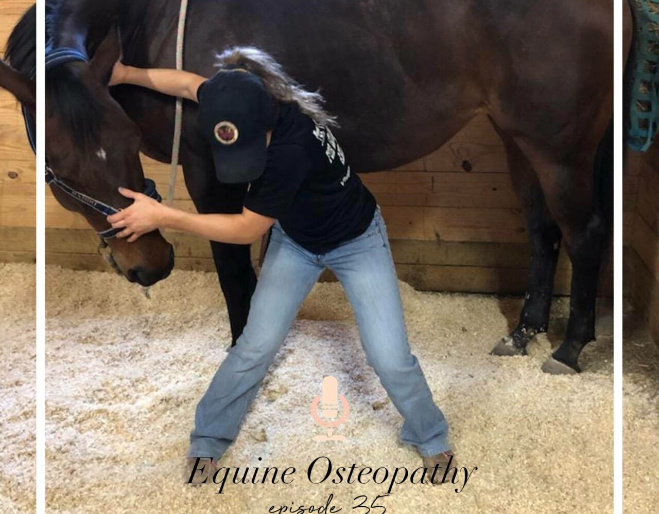 Equine Osteopathy with Jordan Payne