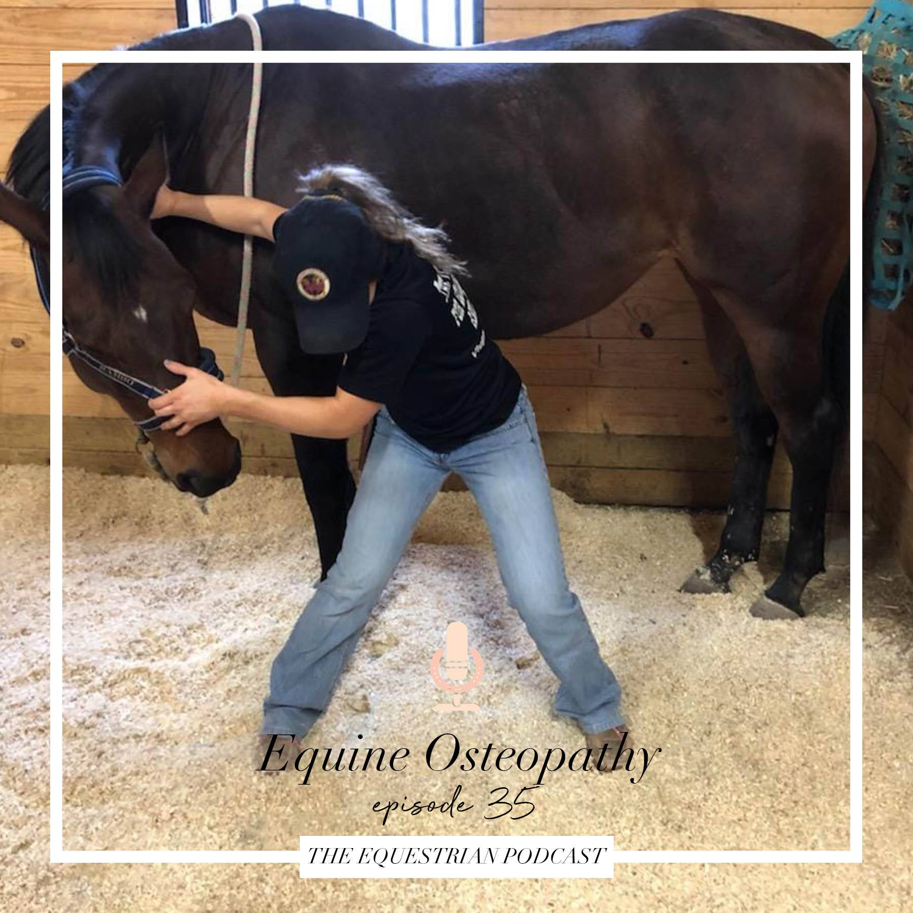 Equine Osteopathy with Jordan Payne - The Equestrian Podcast