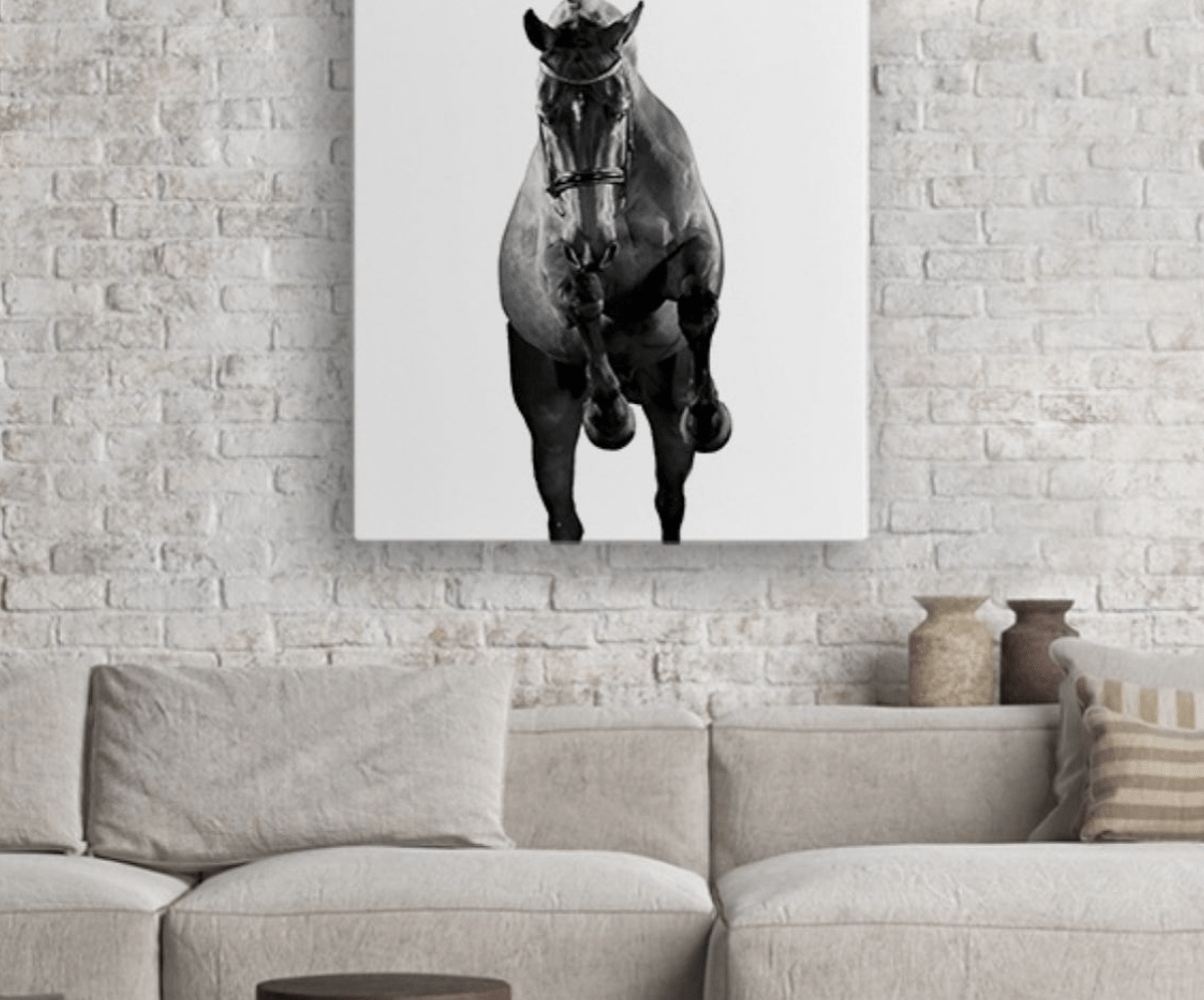 Equestrian Gift Guides : Under $50 and Under $150!