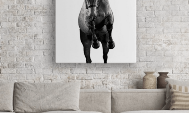 Equestrian Gift Guides : Under $50 and Under $150!
